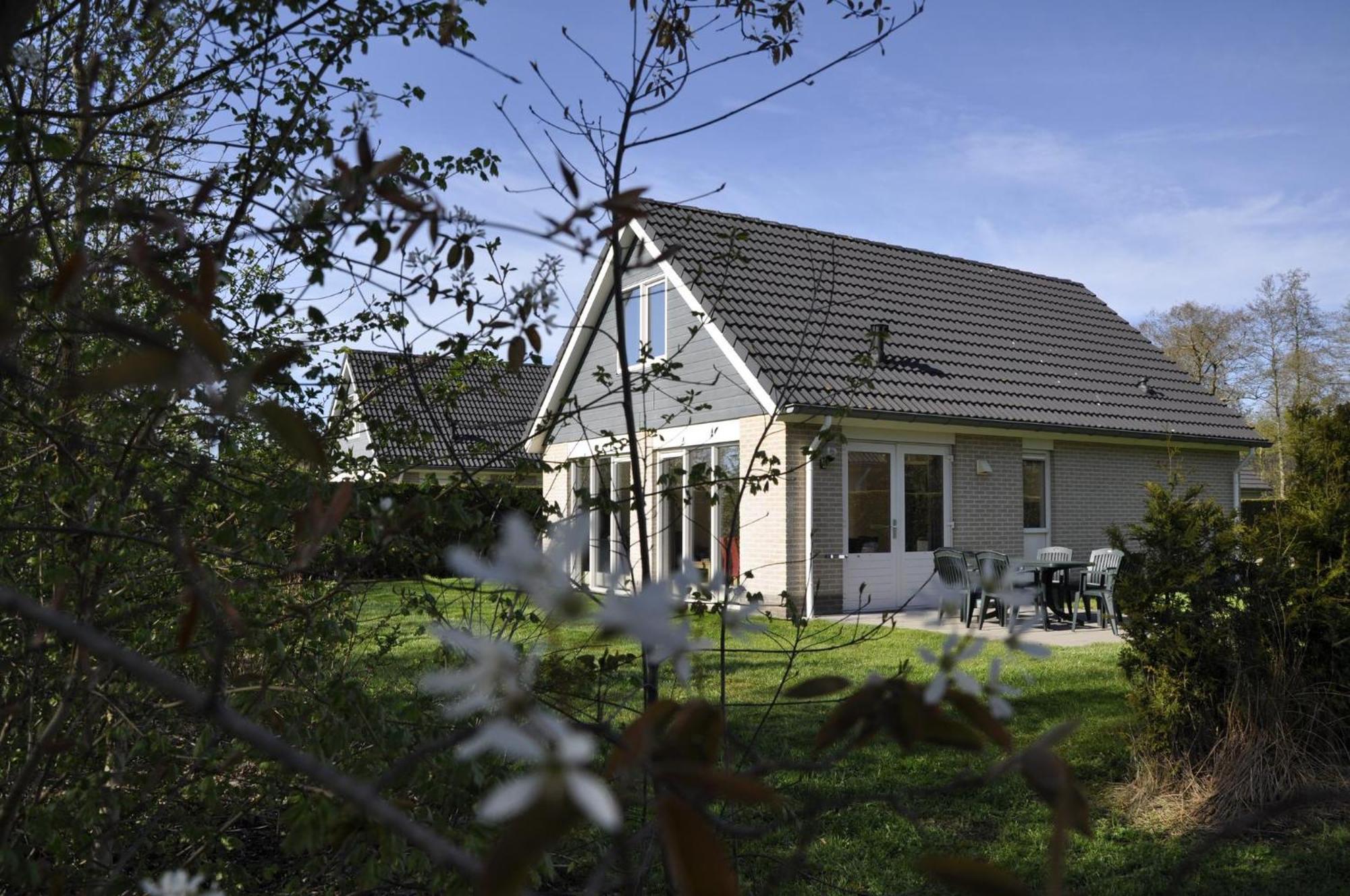 Vakantiepark Bosmeer Friesland Noordwolde  Exterior foto