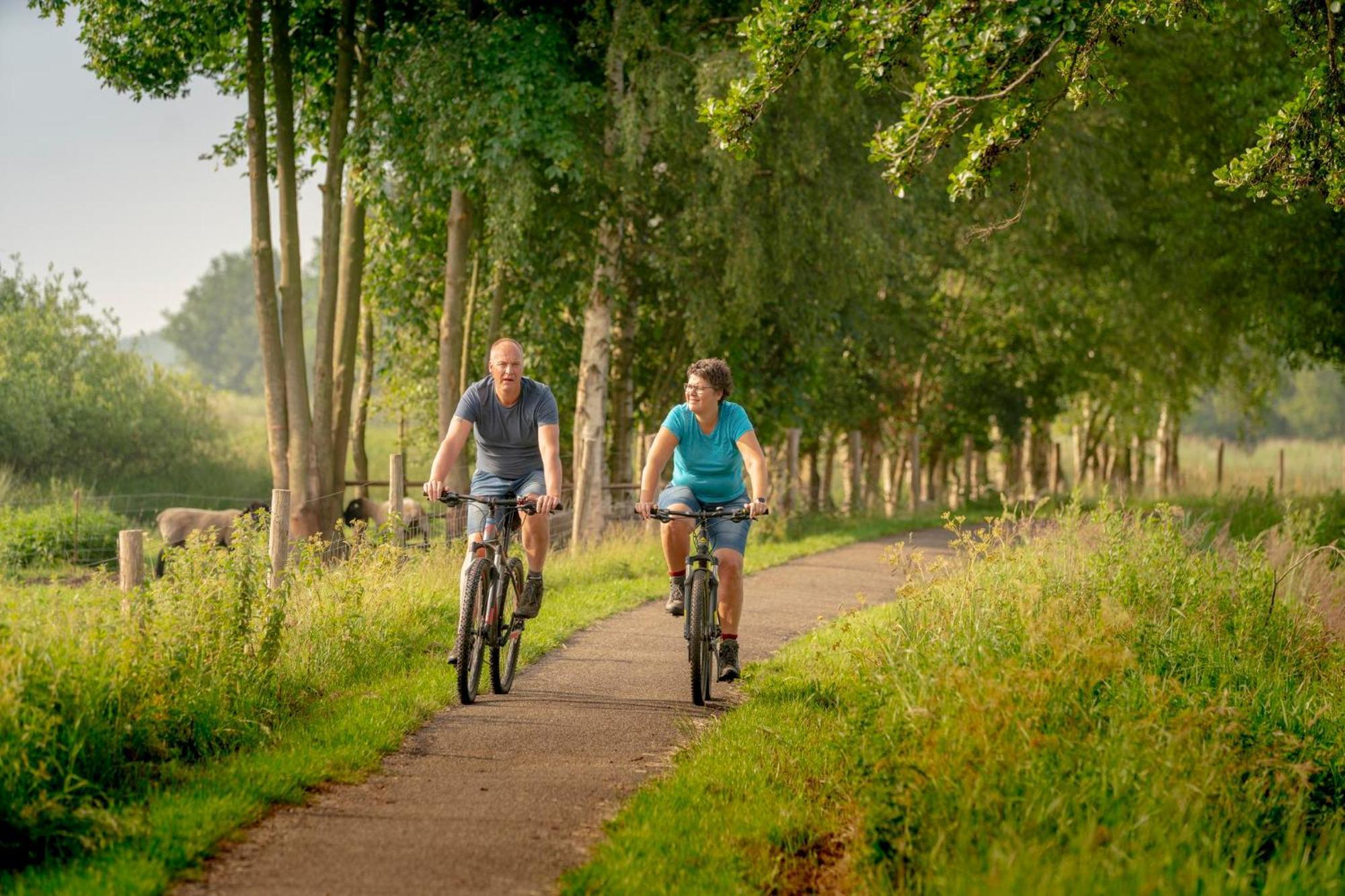 Vakantiepark Bosmeer Friesland Noordwolde  Zimmer foto